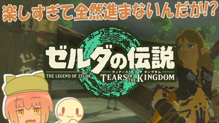 【ゲーム実況】ゼルダの伝説 ティアーズ オブ ザ キングダム＜37＞【桃鮭ララウ】