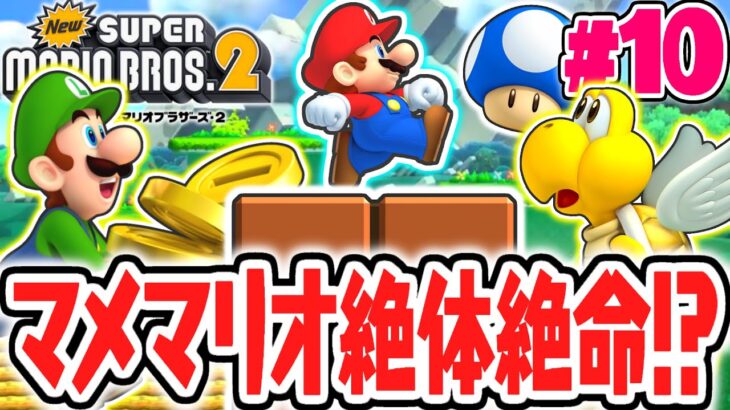 激ムズなマメマリオ限定ステージに挑戦!!スターコインコンプが難しすぎる…3DS名作実況Part10【Newスーパーマリオブラザーズ2】