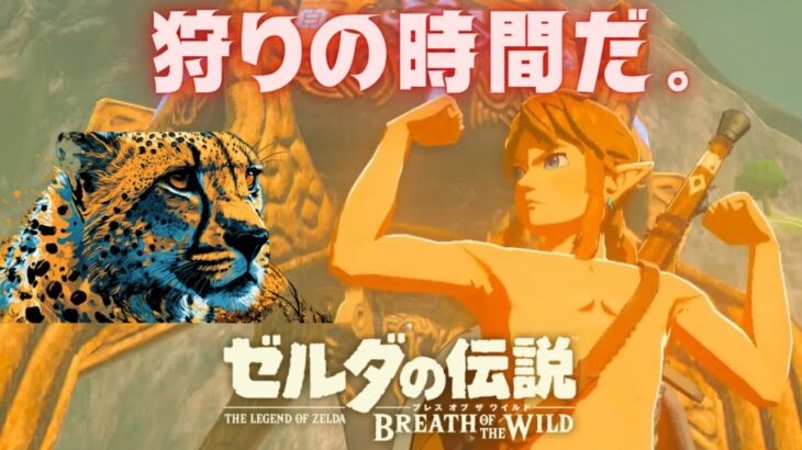 【美体＆ゲーム実況】脱現代生活！野生に戻り心と体を整える『ゼルダの伝説 ブレス オブ ザ ワイルド』 #6