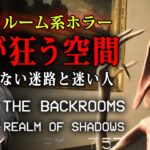 【ホラー】Backrooms: Realm of Shadows 実況プレイ – 恐怖の異空間から脱出する最新「The Backrooms」系サバイバルホラー【Vキャシー/Vtuber】
