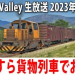 【Derail Valley】ひたすら貨物列車でお仕事するライブ配信【アフロマスク 2023年7月6日】