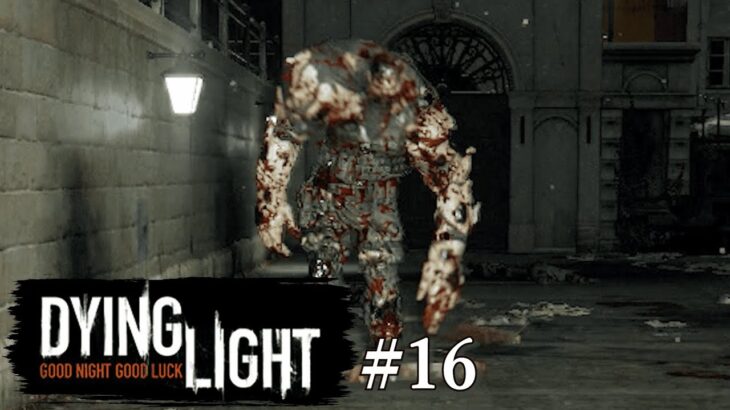 またお前かぁぁーーー！！！！！ ゲーム実況「Dying Light」#16