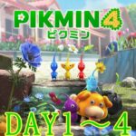 【ピクミン４】ダンドリ上手のPIKMIN4【ゲーム実況】DAY１～４