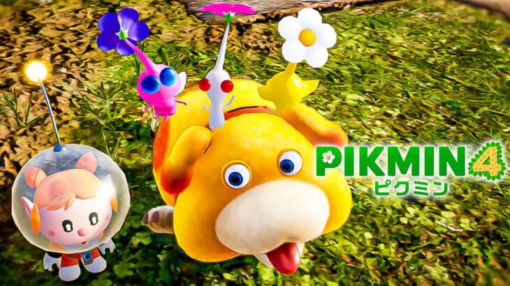 人生初『ピクミン4』実況プレイ🌱🌱🌱🌱🌱【PIKMIN4】