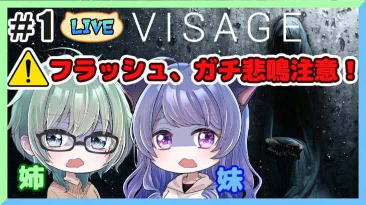 姉妹で【#VISAGE】姉ガチ泣き！～ルーシーの章～【#ホラーゲーム実況プレイ 】【パン耳姉妹】【#女性実況】