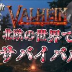 【Valheim】神との戦い、北欧の世界でサバイバル #ゲーム実況 #vtuber #新人vtuber