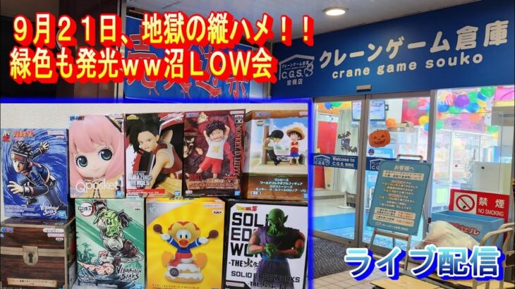 クレーンゲーム倉庫岩槻店でライブ配信76 沼LOWでもいいじゃない(笑)地獄の縦ハメをおみまいしてやる会