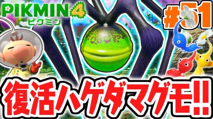 超巨大なハゲダマグモを倒せるか!?オリマー遭難記も残り数日!!最速実況Part51【ピクミン4】