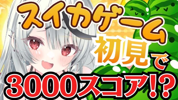 【 スイカゲーム 】初見で3000スコア出しちゃいます！！！【ホロライブ/沙花叉クロヱ】