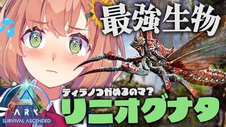 【ARK: Survival Ascended】ARKリメイク！ティラノも持てる！？リニオグナタ捕まえるぞ！！！！！！！！！！！！！！！【本間ひまわり/にじさんじ】