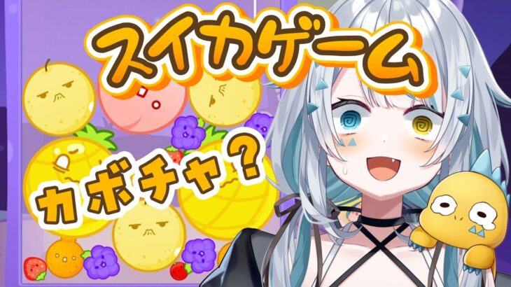 【スイカゲーム 】スイカゲームがカボチャゲームになってるらしい！！【新人Vtuber／天唄サウ】