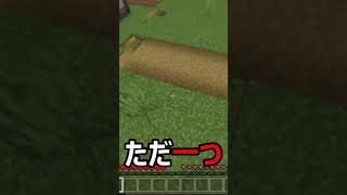 赤色を見たら死ぬマインクラフト #minecraft #ゲーム実況  #マインクラフト