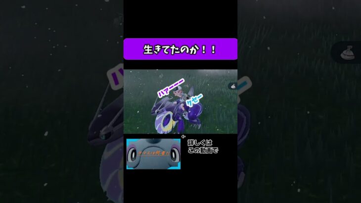 意外な部分に気づきました!!! #ゲーム実況 #sr_ #ポケモンsv