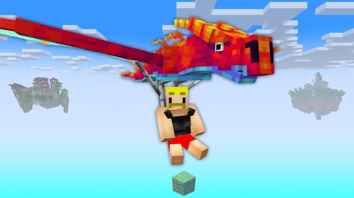 【マイクラ】ドラゴンと行く！１ブロックの世界でエンドラ討伐！