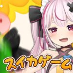 【スイカゲーム】３１００より上にいきたいスイカゲーム【#とまライブ】