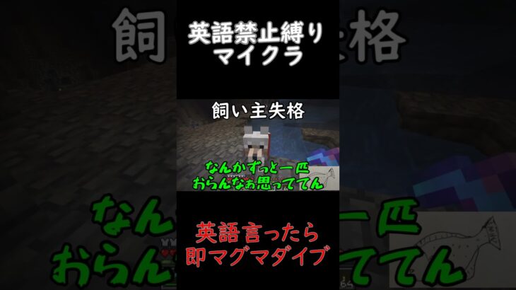 英語禁止縛りマイクラ生活219#shorts #マイクラ #ゲーム実況