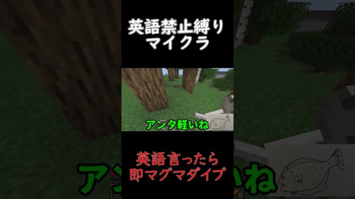 英語禁止縛りマイクラ生活229#shorts #ゲーム実況 #マイクラ