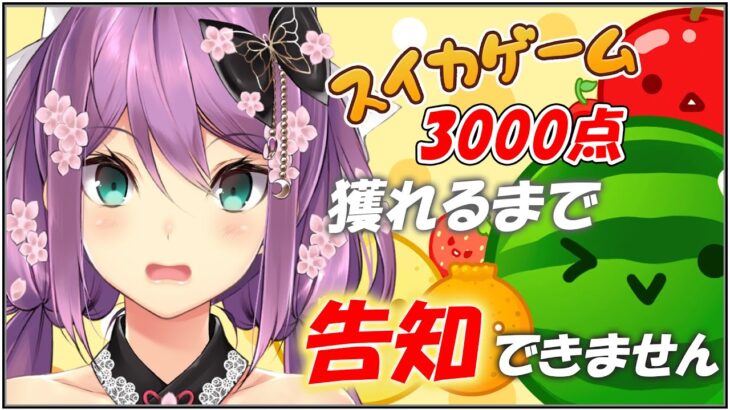 【スイカゲーム】3000点獲れるまで告知できません！！【にじさんじ/桜凛月】