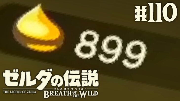 全900匹のコログコンプまであと1匹!!全部見付けたら何が起こるの!?ブレワイ実況Part110【ゼルダの伝説 ブレス オブ ザ ワイルド】