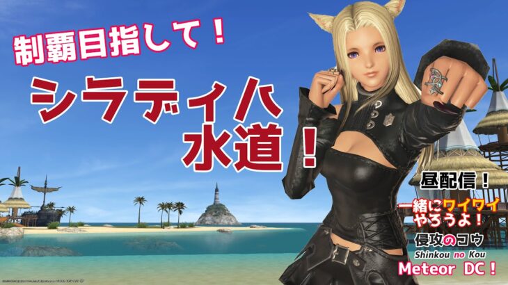 【ゲーム実況】FFXIV 戦士のレベル上げとヴァリアントダンジョンシラディハ水道 視聴者参加型  一緒にワイワイやろうよ