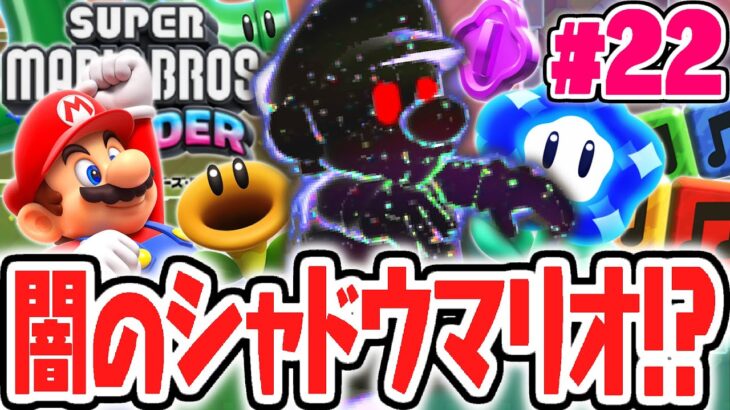 怖すぎるシャドウマリオの迷宮から脱出しよう!!ワンダーなニセマリオとは!?最速実況Part22【スーパーマリオブラザーズ ワンダー】