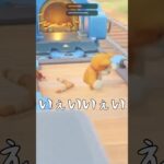 【バレリーナ🐶】踊れるイッヌ #ライブ配信  #ゲーム実況  #発狂系配信者 #partyanimals #shorts