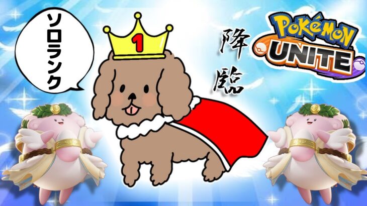 【ポケモンユナイト】完全ソロ1900～ チームメンバー募集中です！竜王戦ハッスルじゃよ！　≪初心者/質問非歓迎≫