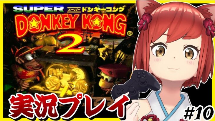 【ゲーム実況】クリスマスイヴにもやります🎅🎄〝スーパードンキーコング2〟の全クリ目指す！！🐒🐒🍌🦍【#大勝あたり／#あたり確変中】#09