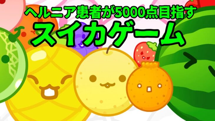 【ライブ配信】5000点超え目指すヘルニア患者のスイカゲーム