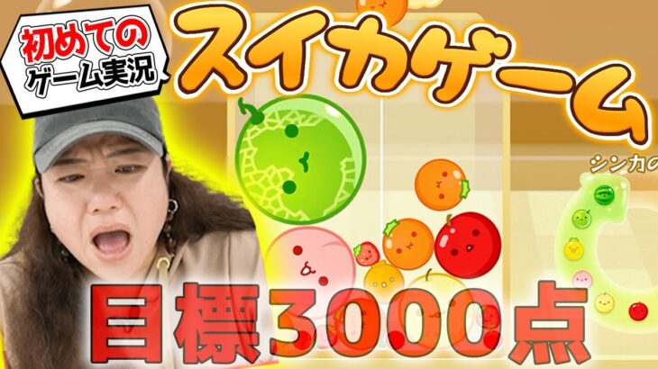 【スイカゲーム】HY仲宗根泉が初ゲーム実況！目標スコア３０００点達成でステーキ獲得なるか！？