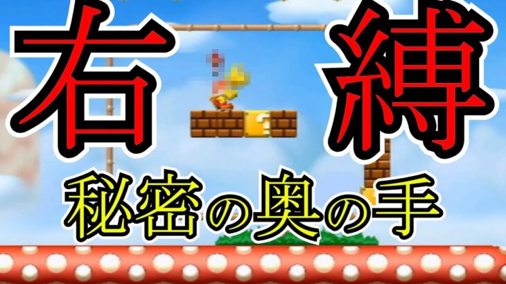 あのチートアイテム登場  #マリオ左縛り #ゲーム実況 #スーパーマリオブラザーズWii#縛りプレイ#縛りマリオ