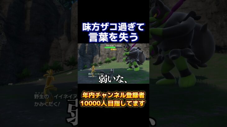 モルペコがマジで優秀過ぎた笑笑#ゲーム実況 #ポケモンsv #追加コンテンツ