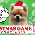 【チップサンタ　プレゼンツ】クリスマスゲームライブ