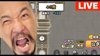 【初見歓迎】にゃんこ塔「おまめサンシローのゲーム実況」