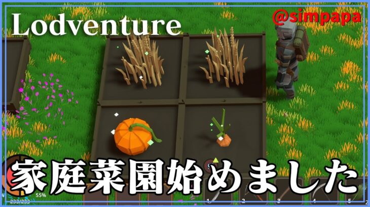 ＃08【Lodventure】家庭菜園で野菜を育て始める【ゲーム実況】