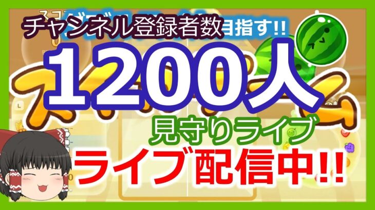 【スイカゲーム】チャンネル登録者1200人達成見守りライブ