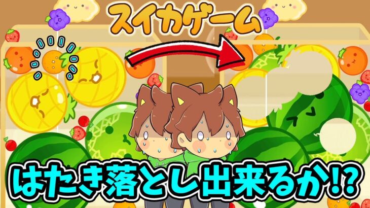 はたき落としでダブルスイカ達成！？【スイカゲーム#13】ゆっくり実況プレイ