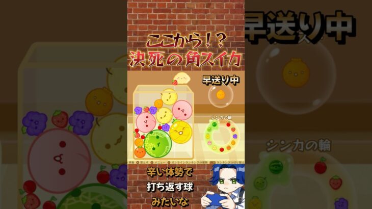 ギリギリ角スイカ5選 #ゲーム実況 #スイカゲーム