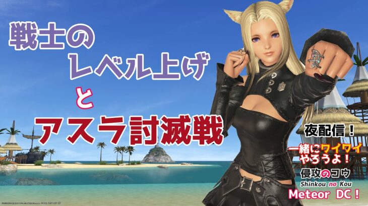 【ゲーム実況】FF14 戦士のレベル上げとアスラ討滅戦  一緒にワイワイやろうよ