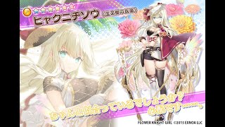 【ゲーム実況】FLOWERKNIGHTGIRLヒャクニチソウ(生命樹の祝福)実装記念ライブ