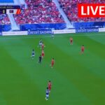 Indonesia vs Jepang Live Football | Piala Asia 2023 football | japan vs indoniesa live