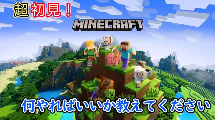 【#マイクラ】MINECRAFT実況　初見さん大歓迎！！ ＃ライブ配信 #参加型