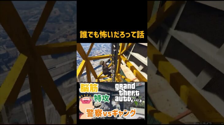 想定する高さじゃない #グラセフ #gta5 #ゲーム実況