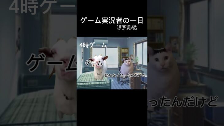 ゲーム実況者のリアルな1日#shorts #猫ミーム #ばずれ