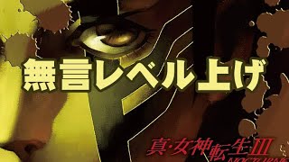 「ライブ」無言レベル上げ Steam版　真・女神転生III NOCTURNE HD REMASTER　 ゲーム実況　生放送　のんびりと進めます