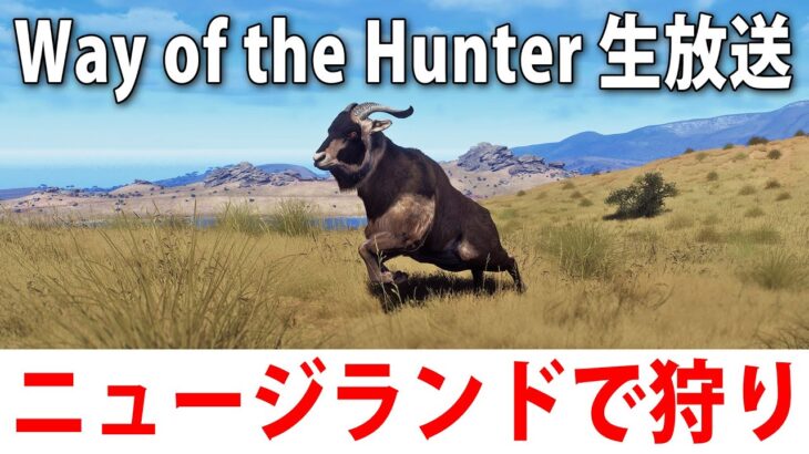 ニュージーランドでひたすら狩りをするライブ配信【 Way of the Hunter 】