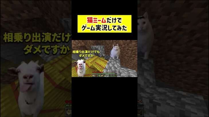 猫ミームゲーム実況 #猫ミーム
