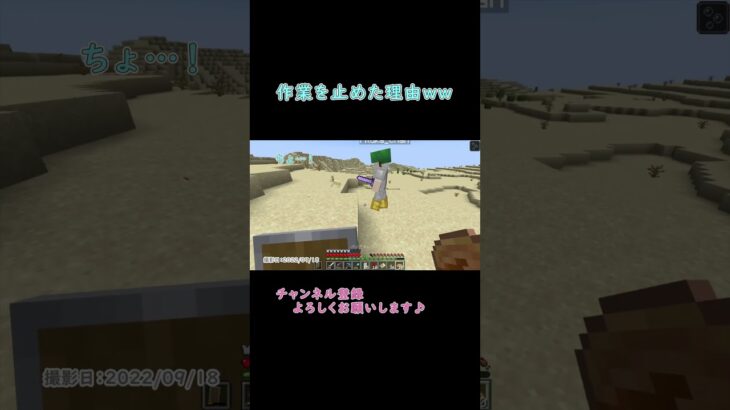 ☕ 【マイクラ】112_7★ゲーム実況者系Vtuber男女コンビのマインクラフト実況 #マイクラ #マインクラフト #マイクラ実況 #GG茶屋 #男性vtuber  #女性vtuber