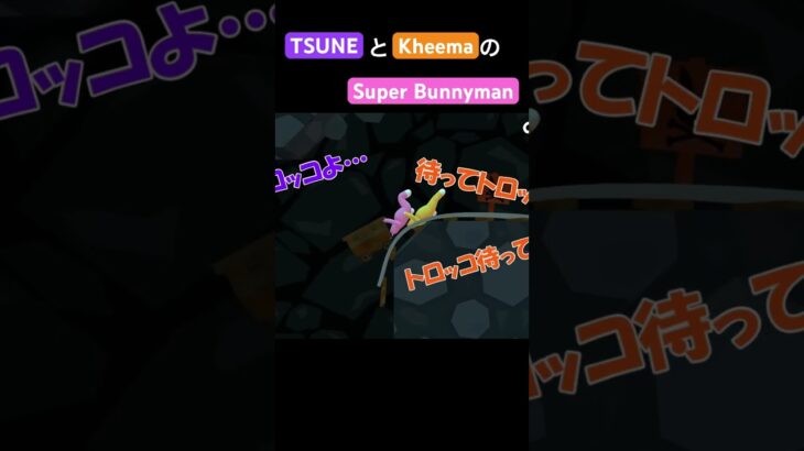 TSUNEの「Super Bunnyman」Part12切り抜き #ゲーム実況