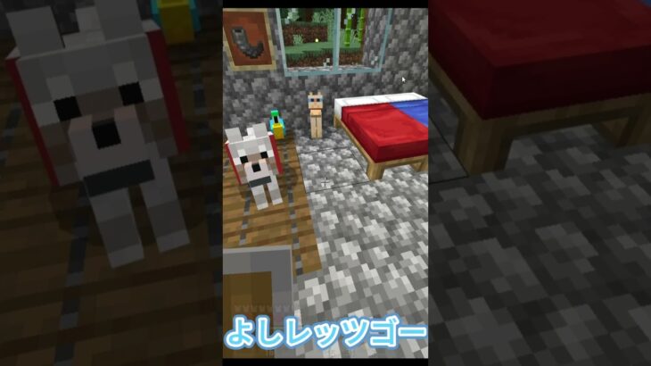 ルービックキューブ…#マイクラ #マインクラフト実況 #マインクラフト #minecraft #ゲーム実況 #shorts